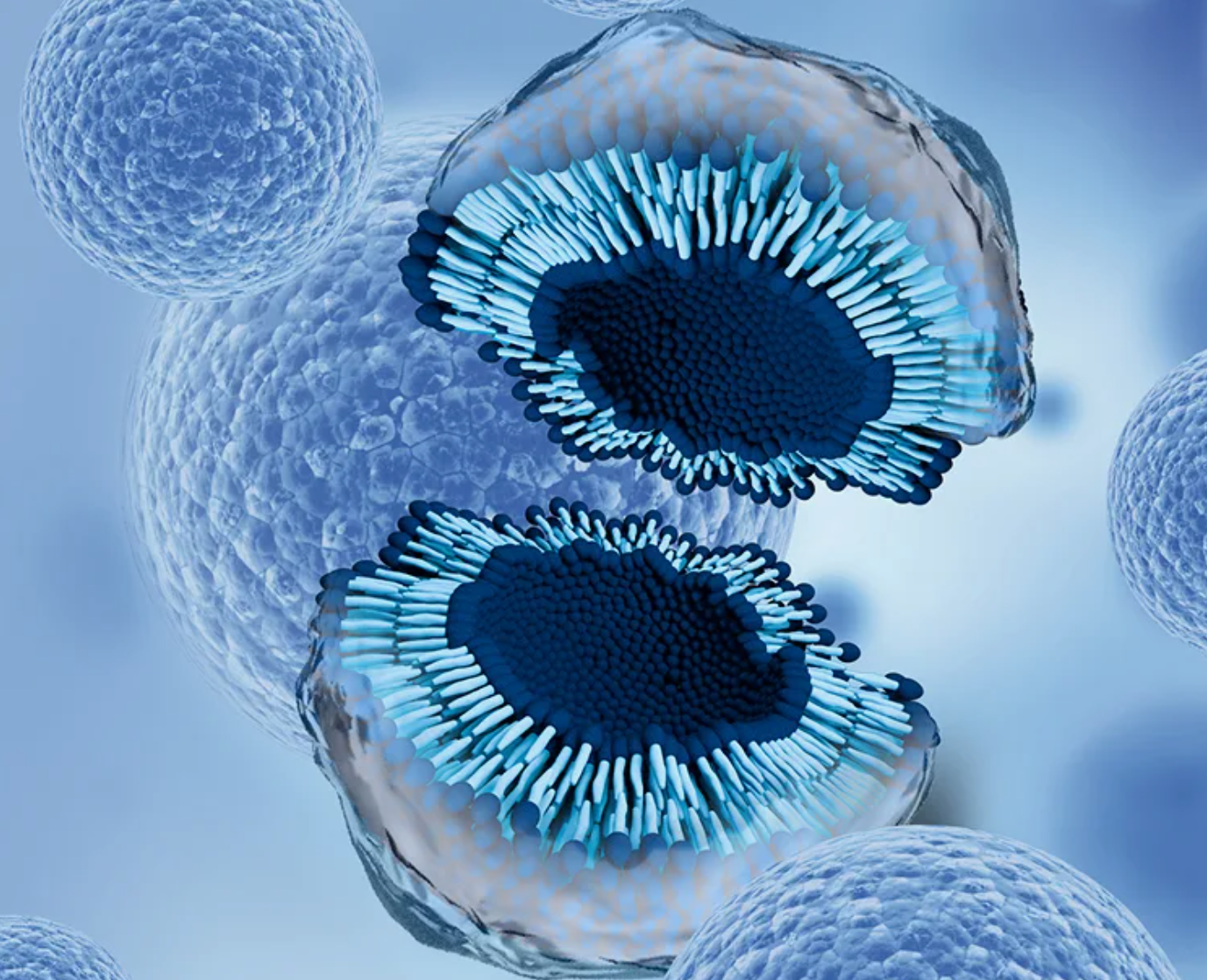 Экзосомы в косметологии (Экзосомальная терапия)